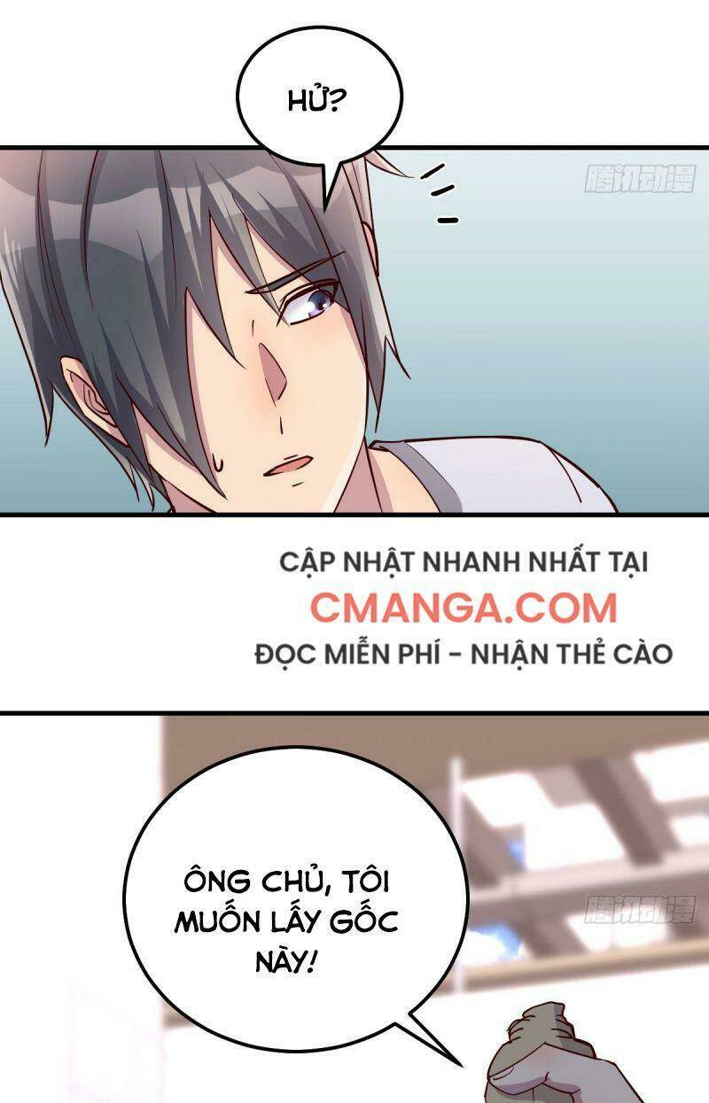 page_11.jpg