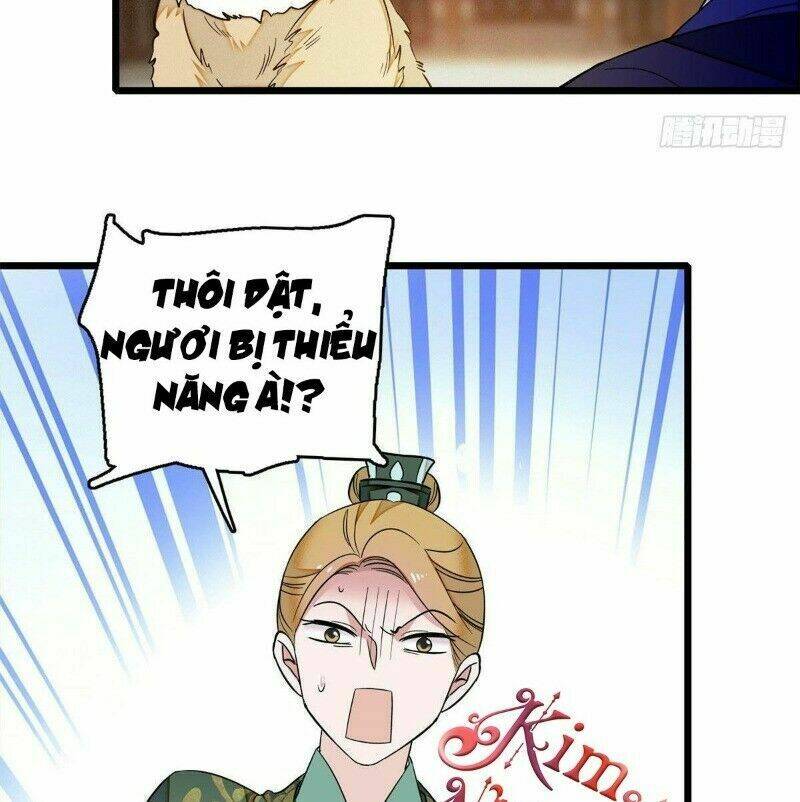 page_41.jpg