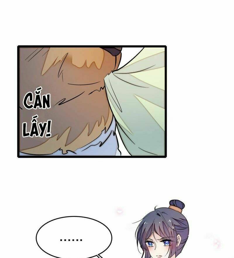 page_20.jpg