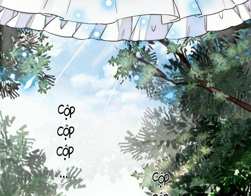 page_19.jpg