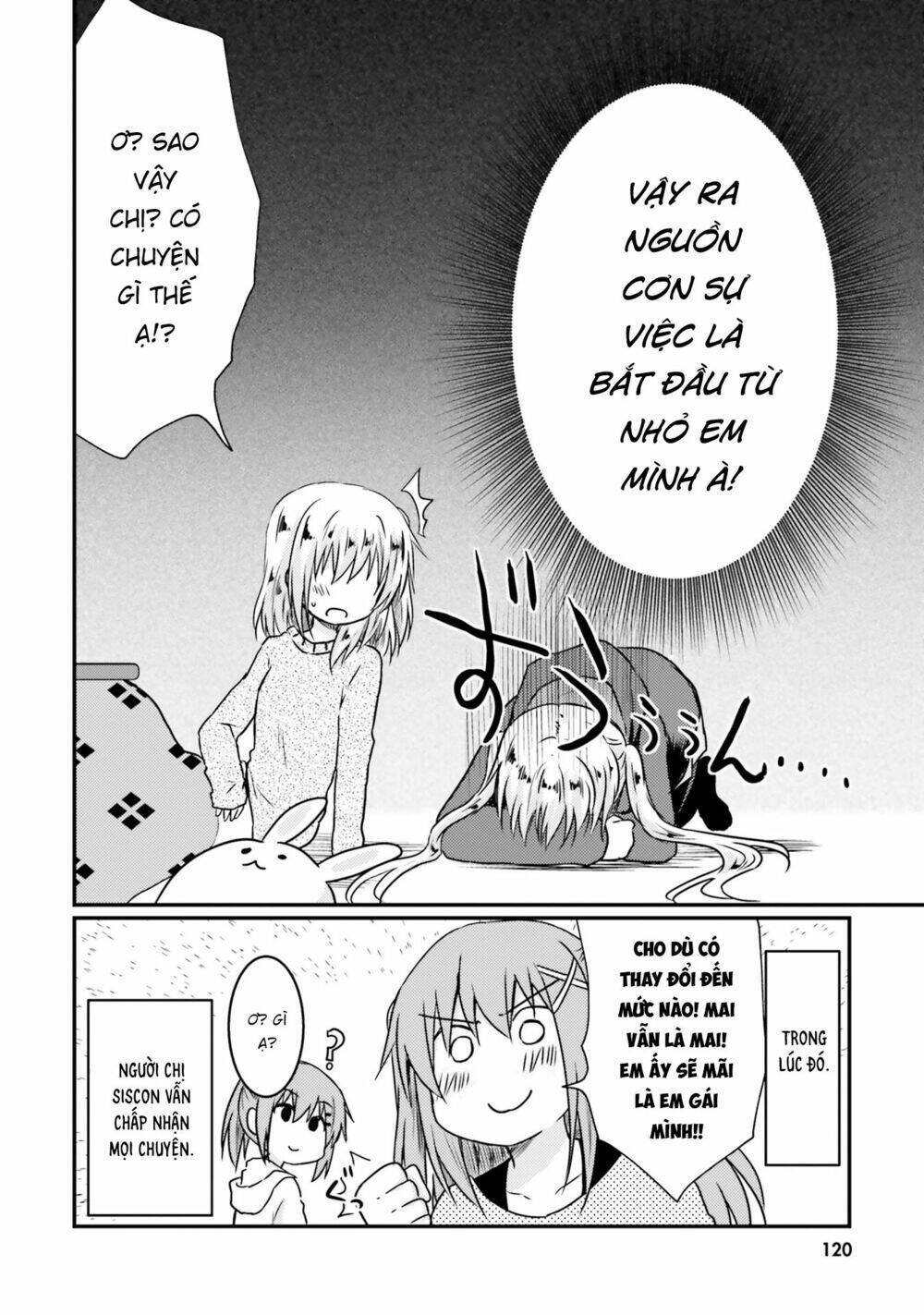 page_16.jpg