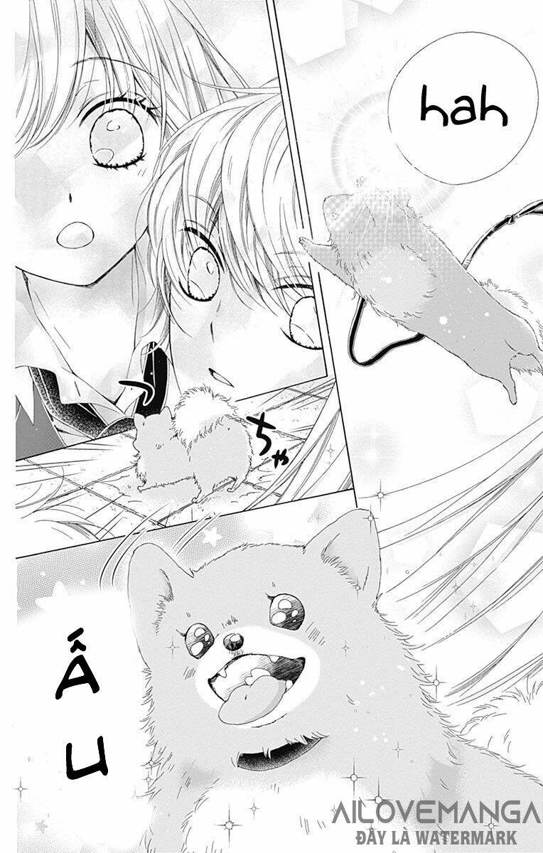 page_33.jpg