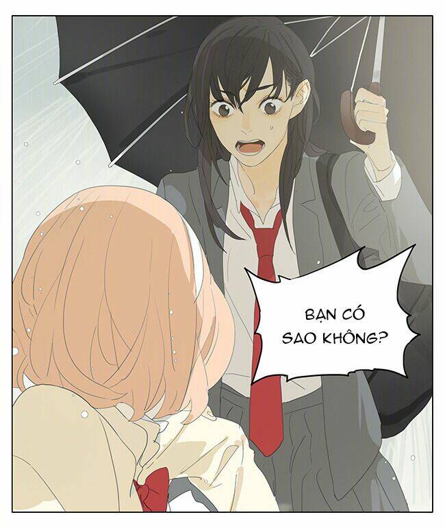 page_19.jpg