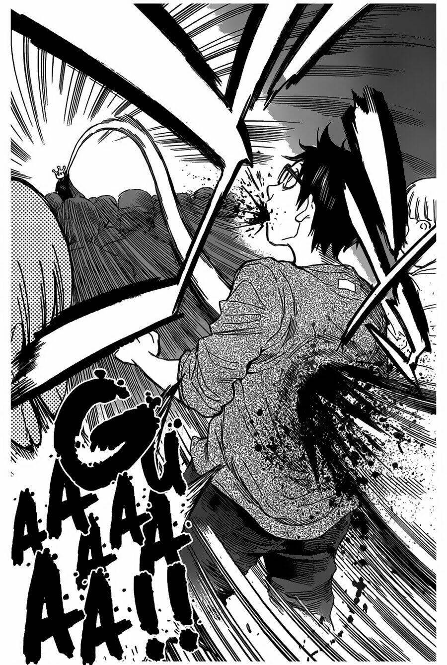 page_23.jpg