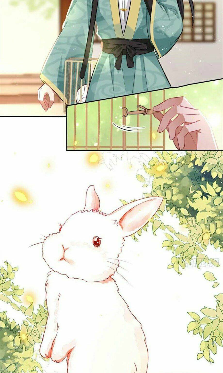 page_28.jpg