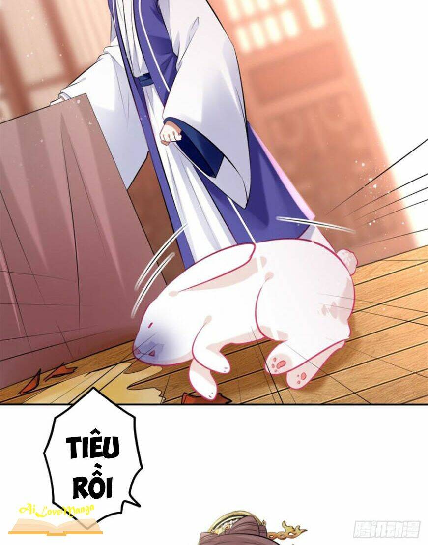 page_19.jpg