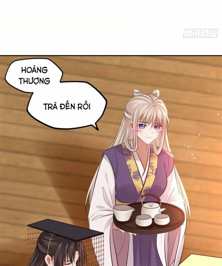 page_17.jpg