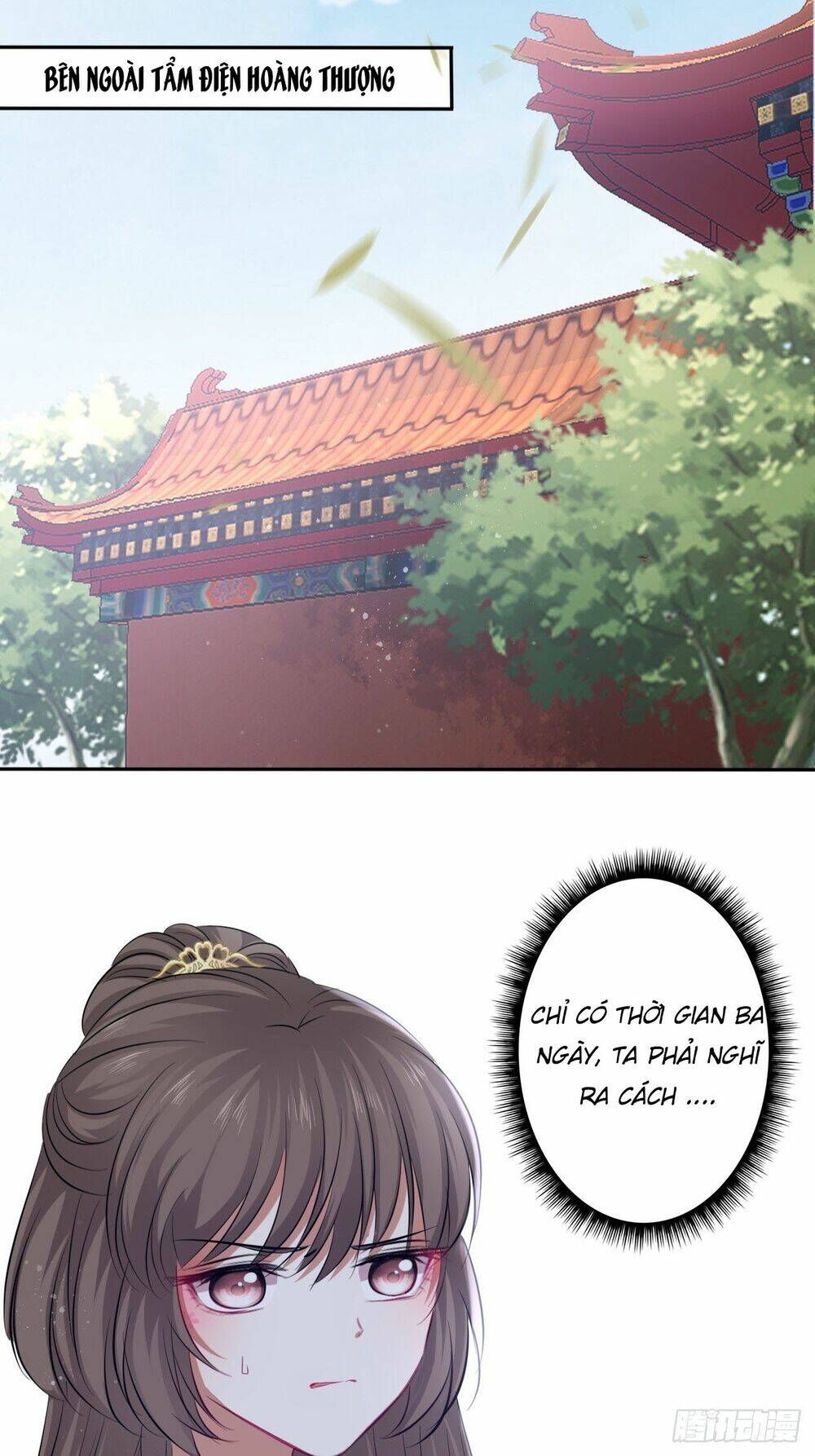 page_11.jpg