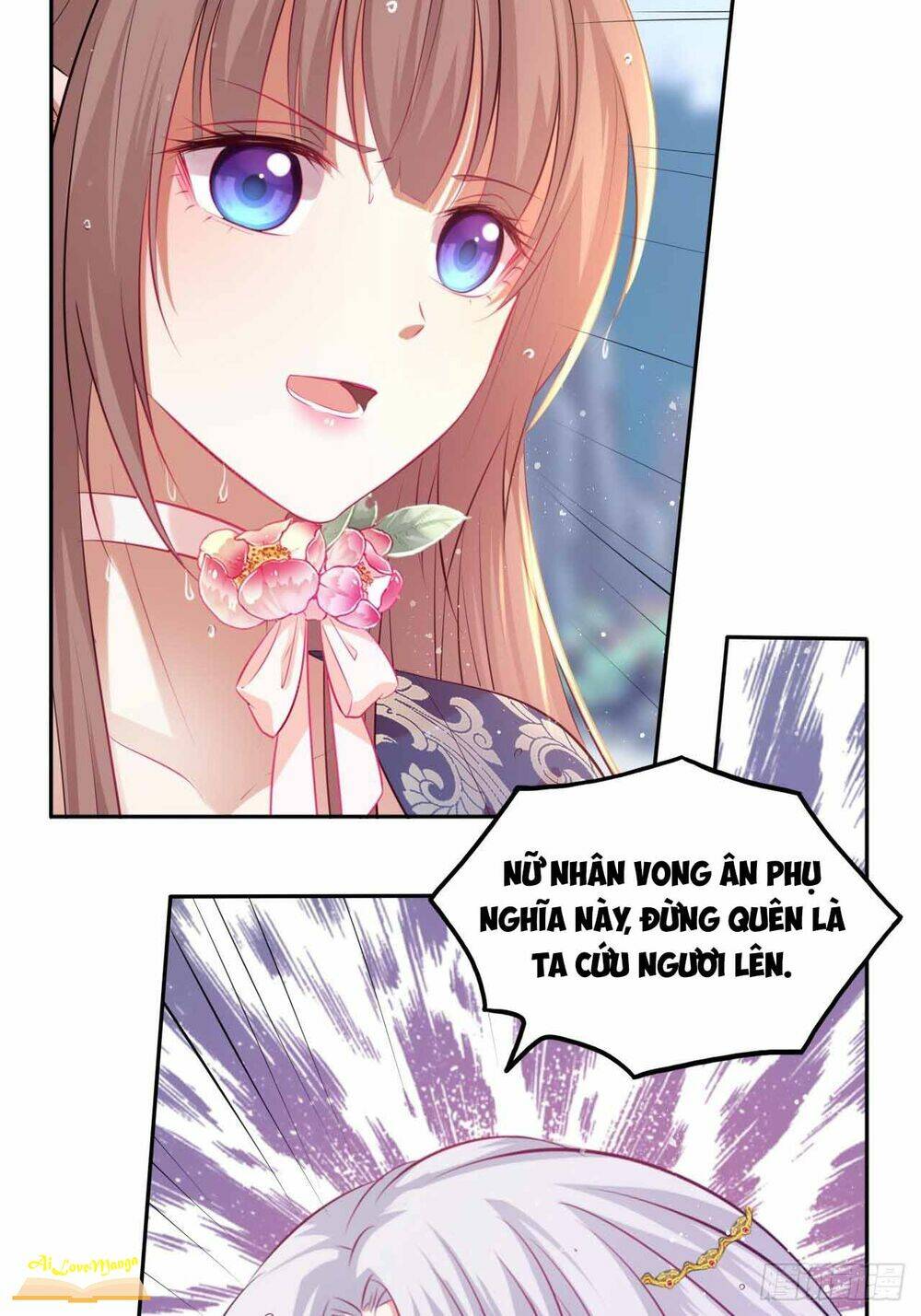 page_17.jpg