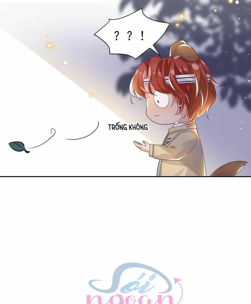 page_16.jpg