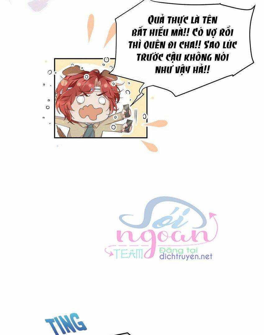 page_19.jpg