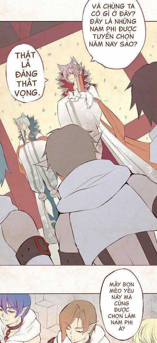 page_23.jpg