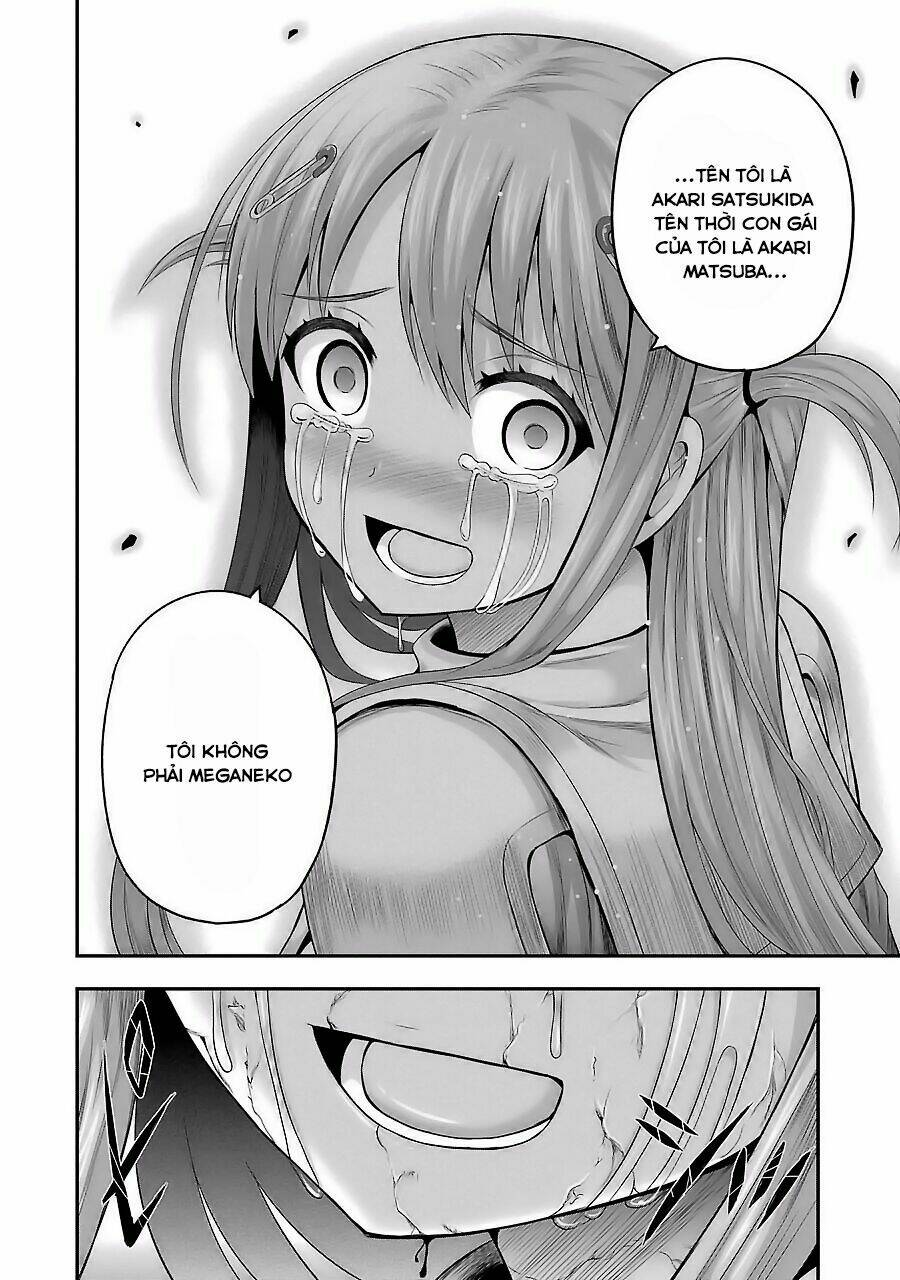 page_21.jpg