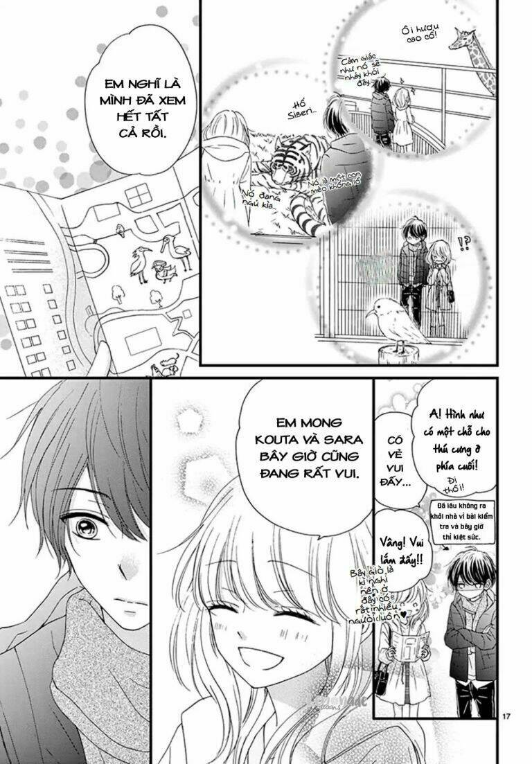 page_19.jpg