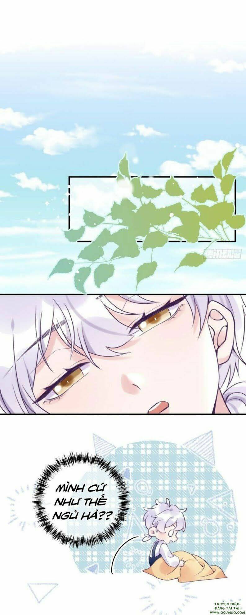 page_19.jpg