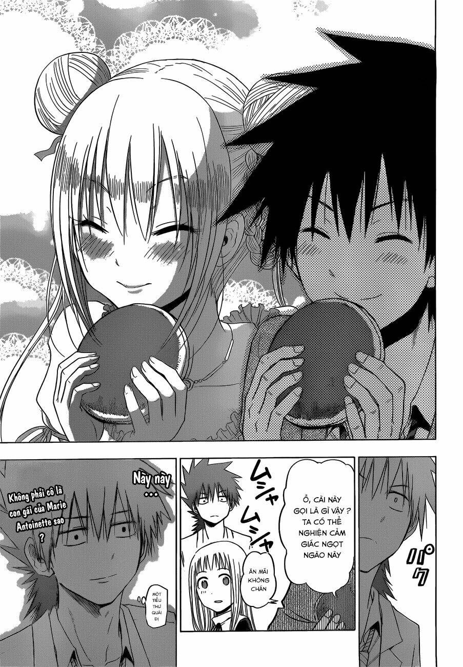 page_20.jpg