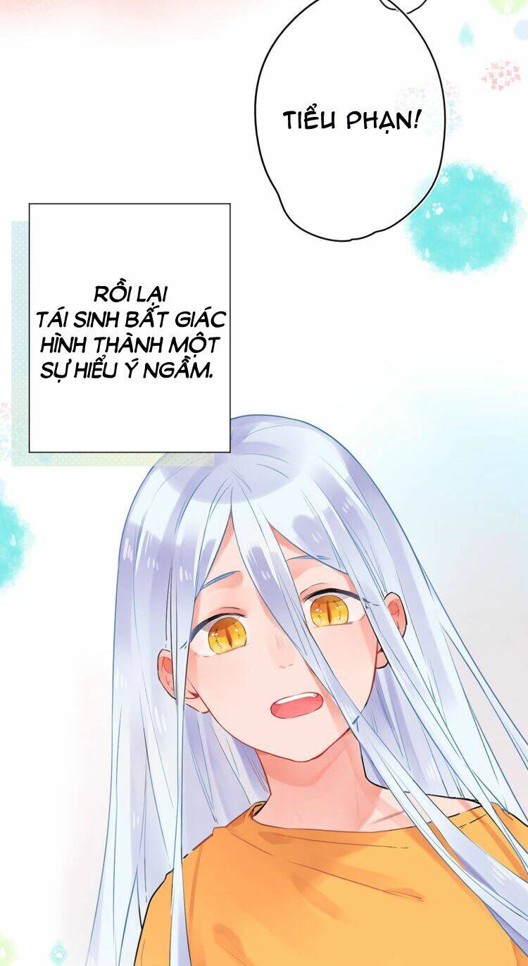 page_16.jpg