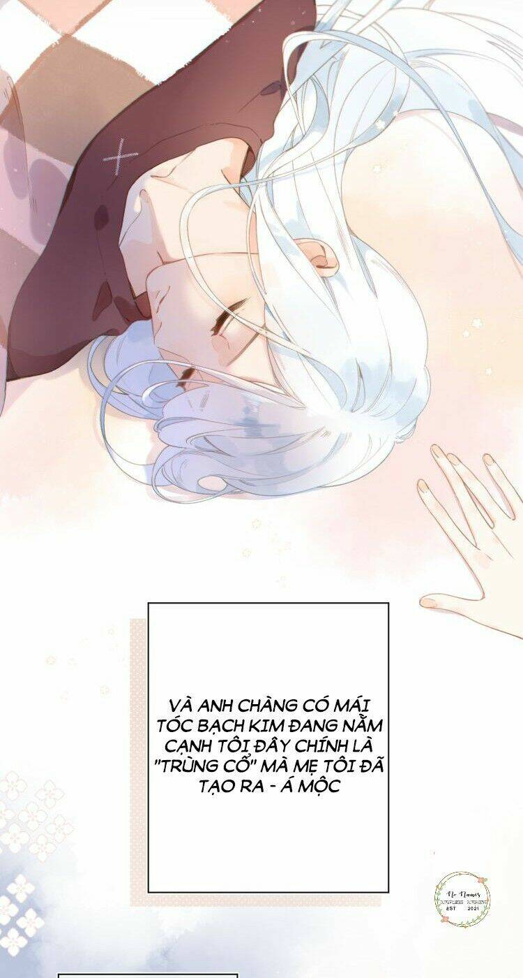 page_11.jpg