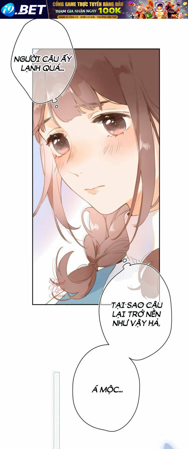 page_21.jpg