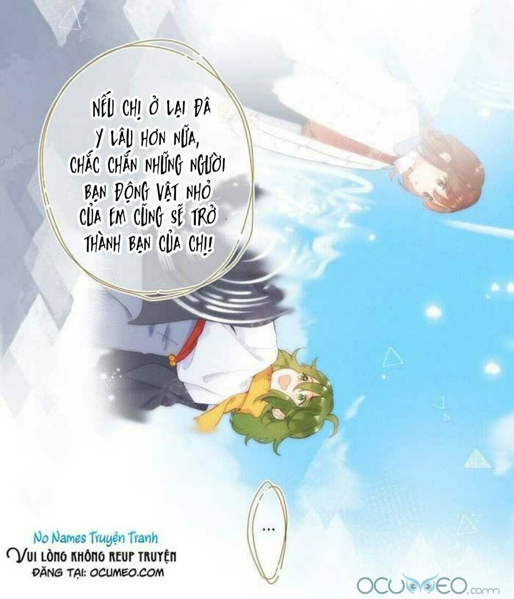 page_14.jpg