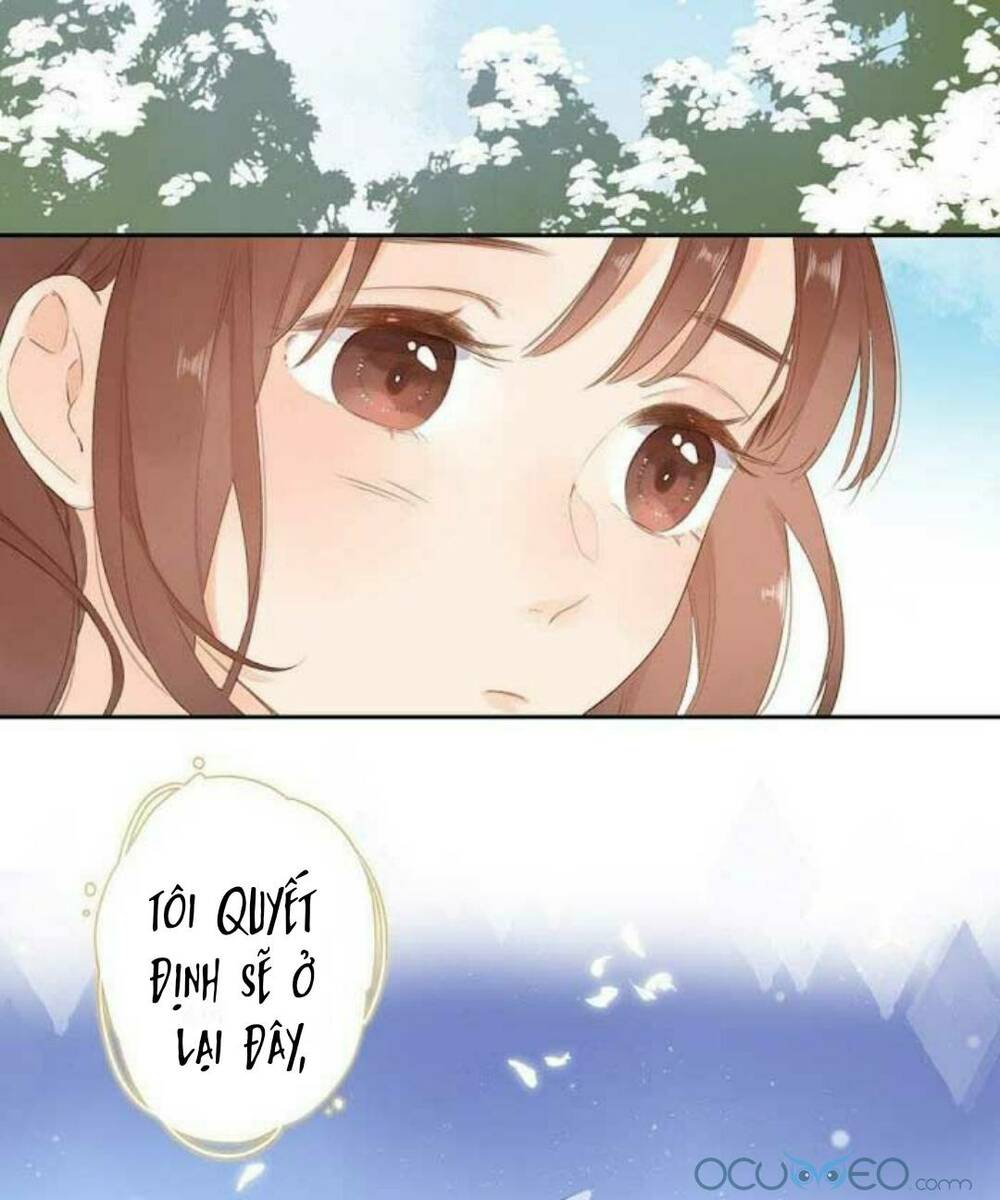 page_24.jpg