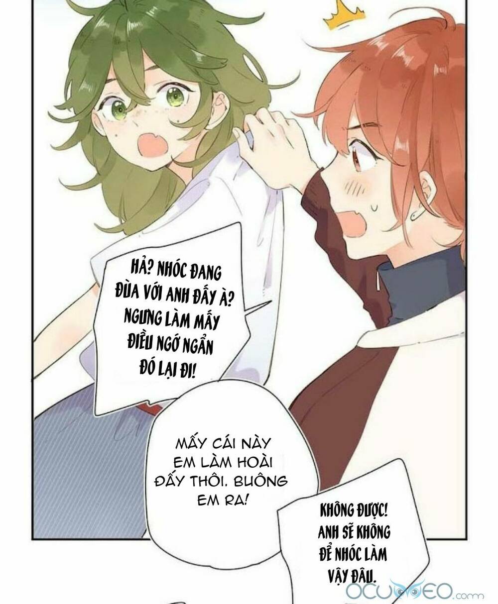 page_37.jpg