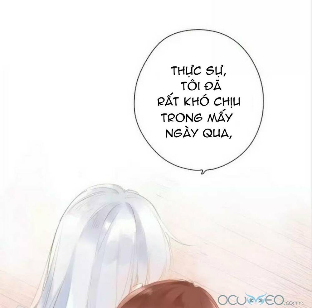 page_13.jpg