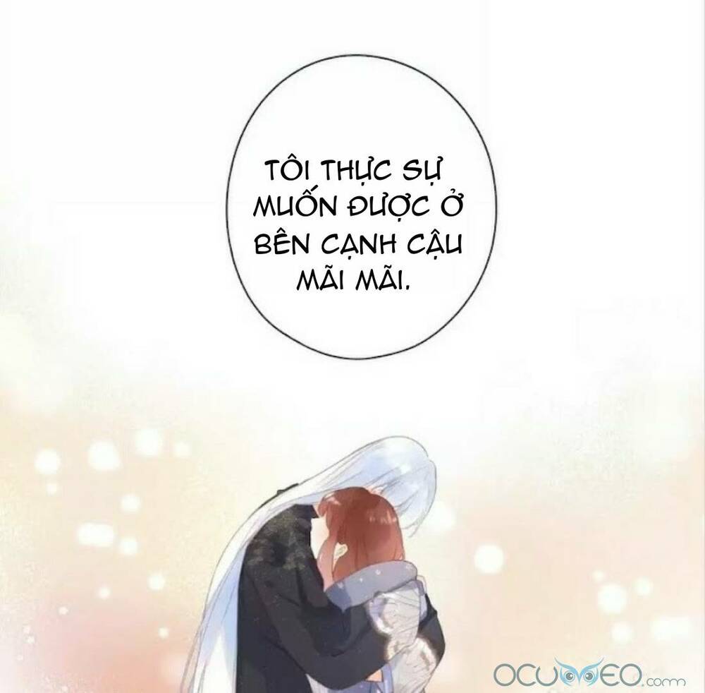 page_17.jpg