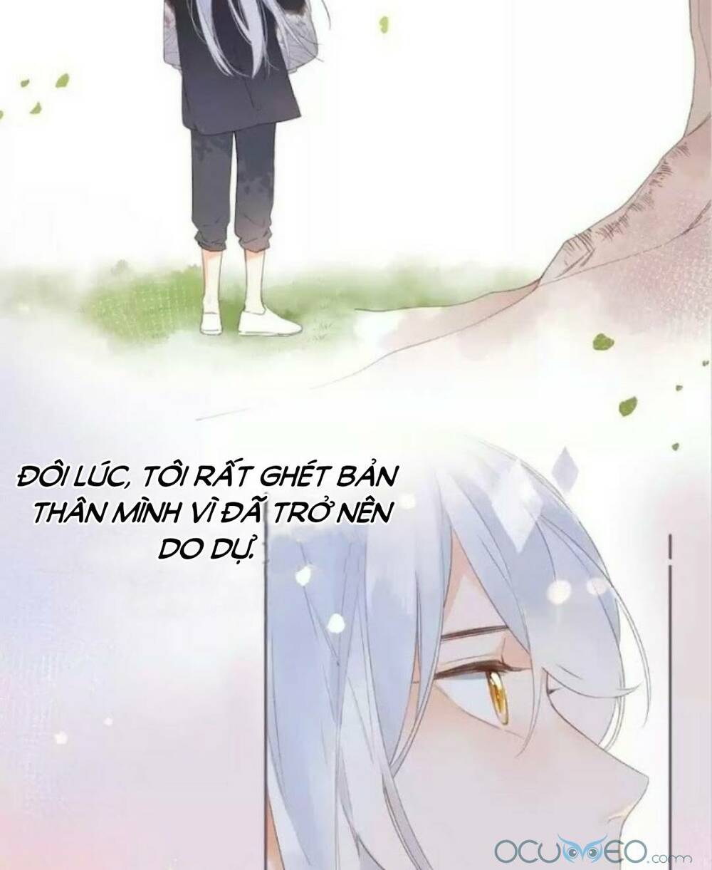 page_21.jpg