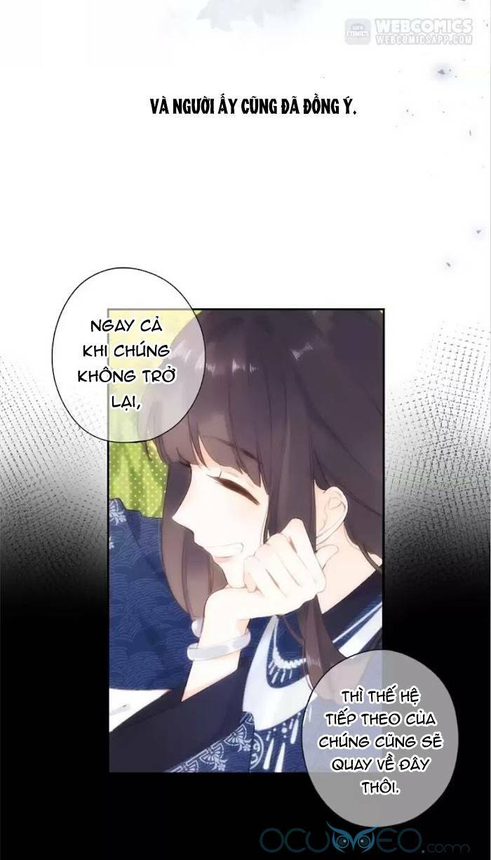 page_24.jpg
