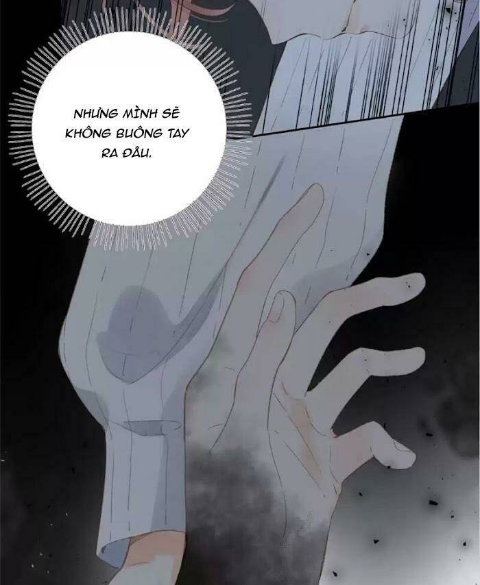 page_32.jpg
