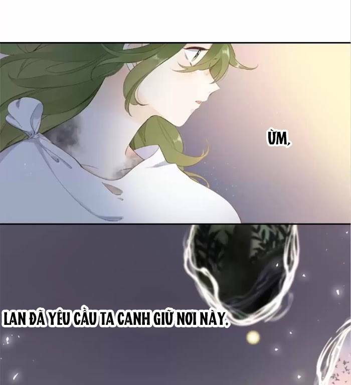 page_24.jpg