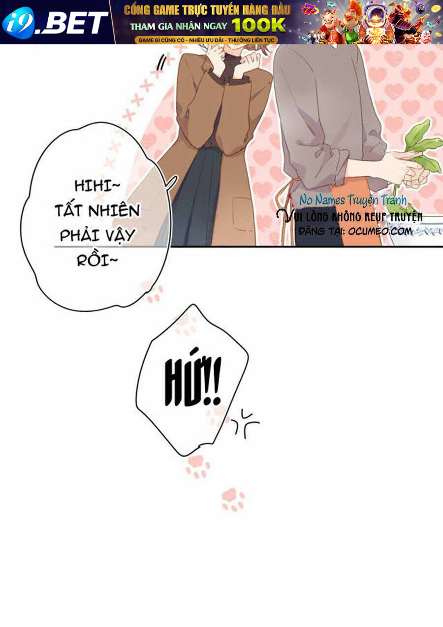 page_17.jpg