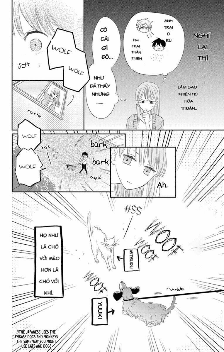 page_19.jpg