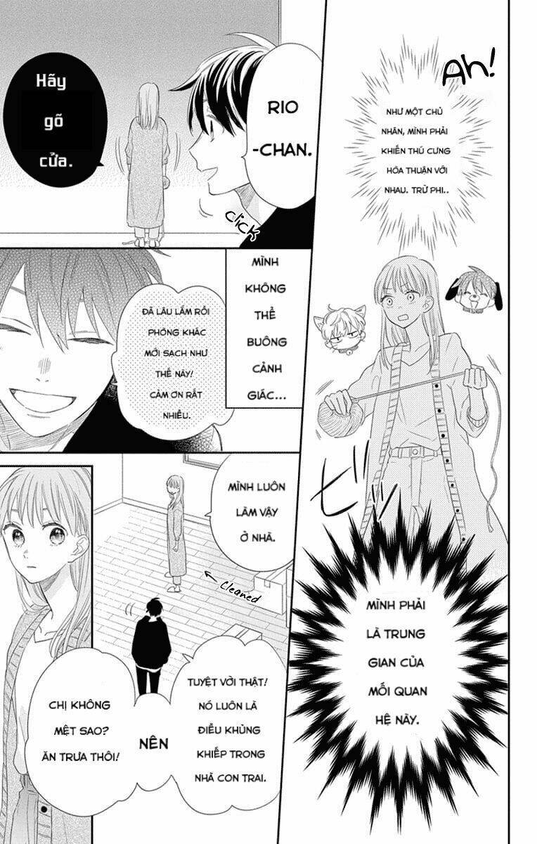 page_20.jpg