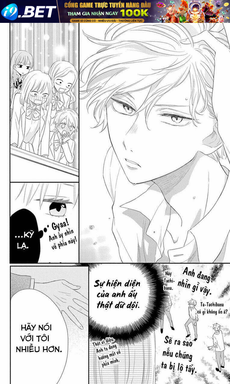 page_17.jpg