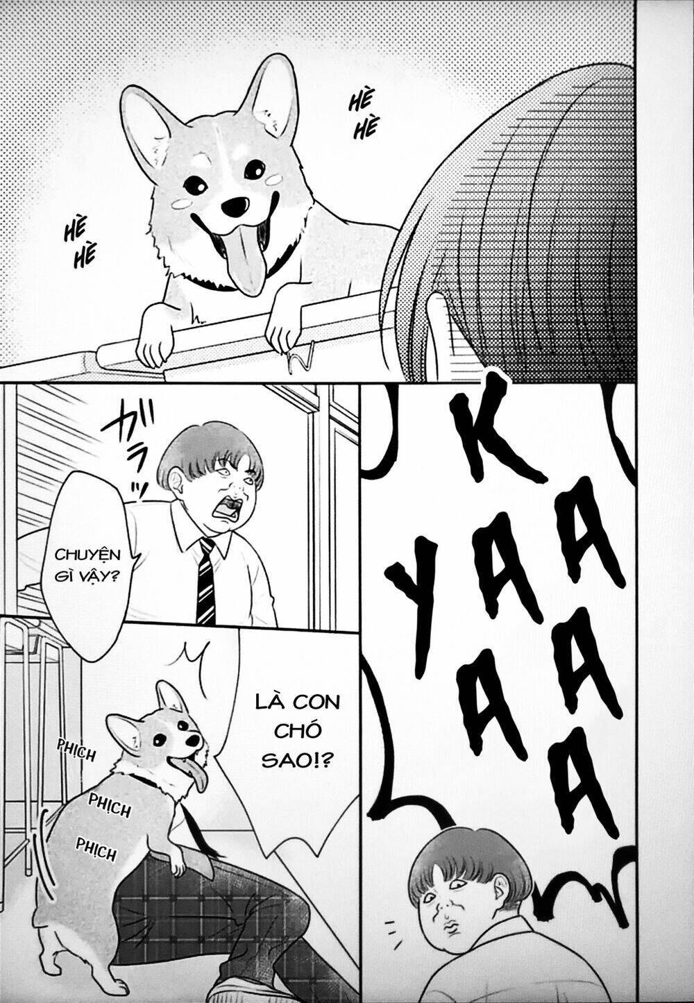 page_19.jpg