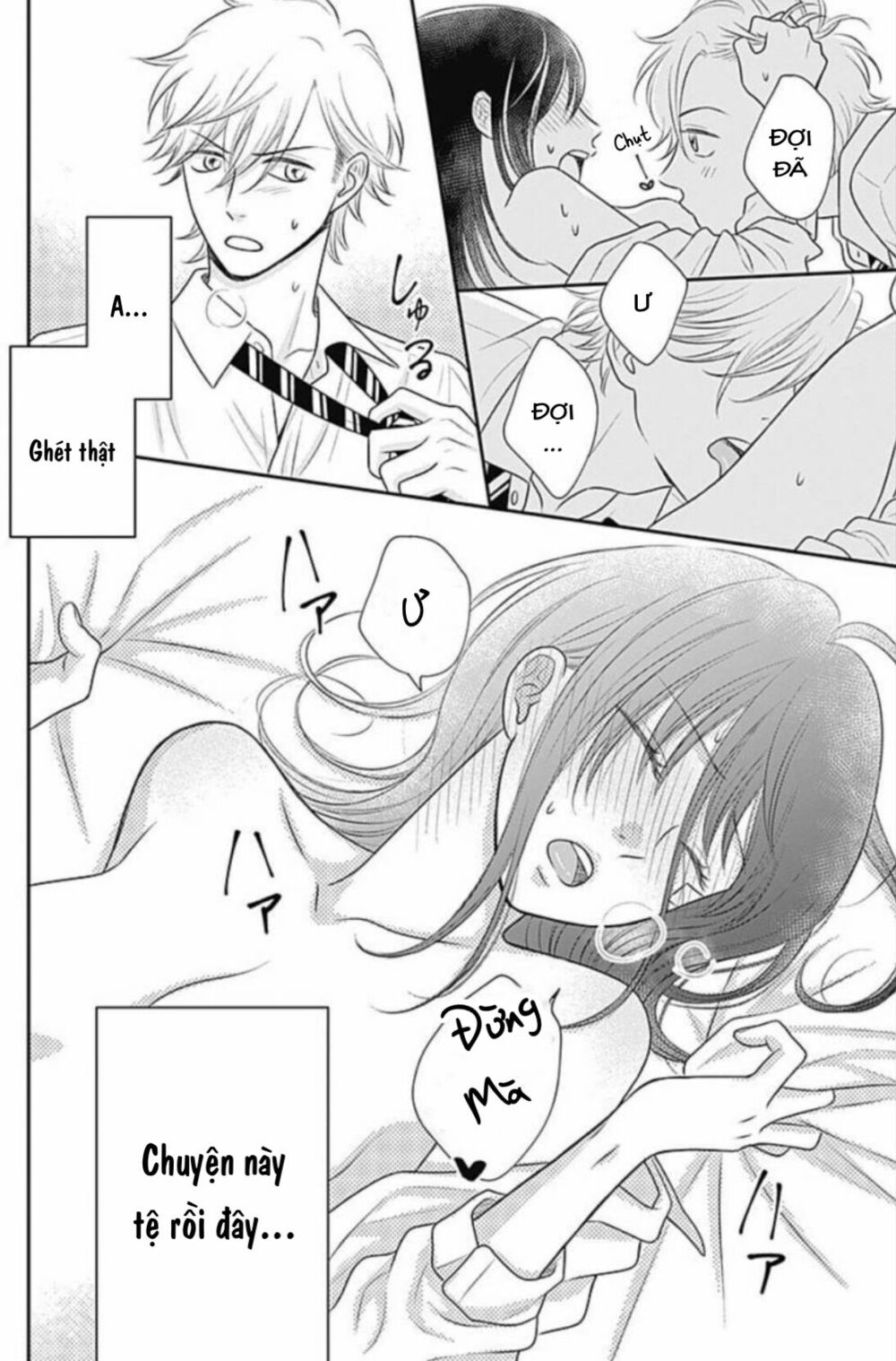 page_22.jpg