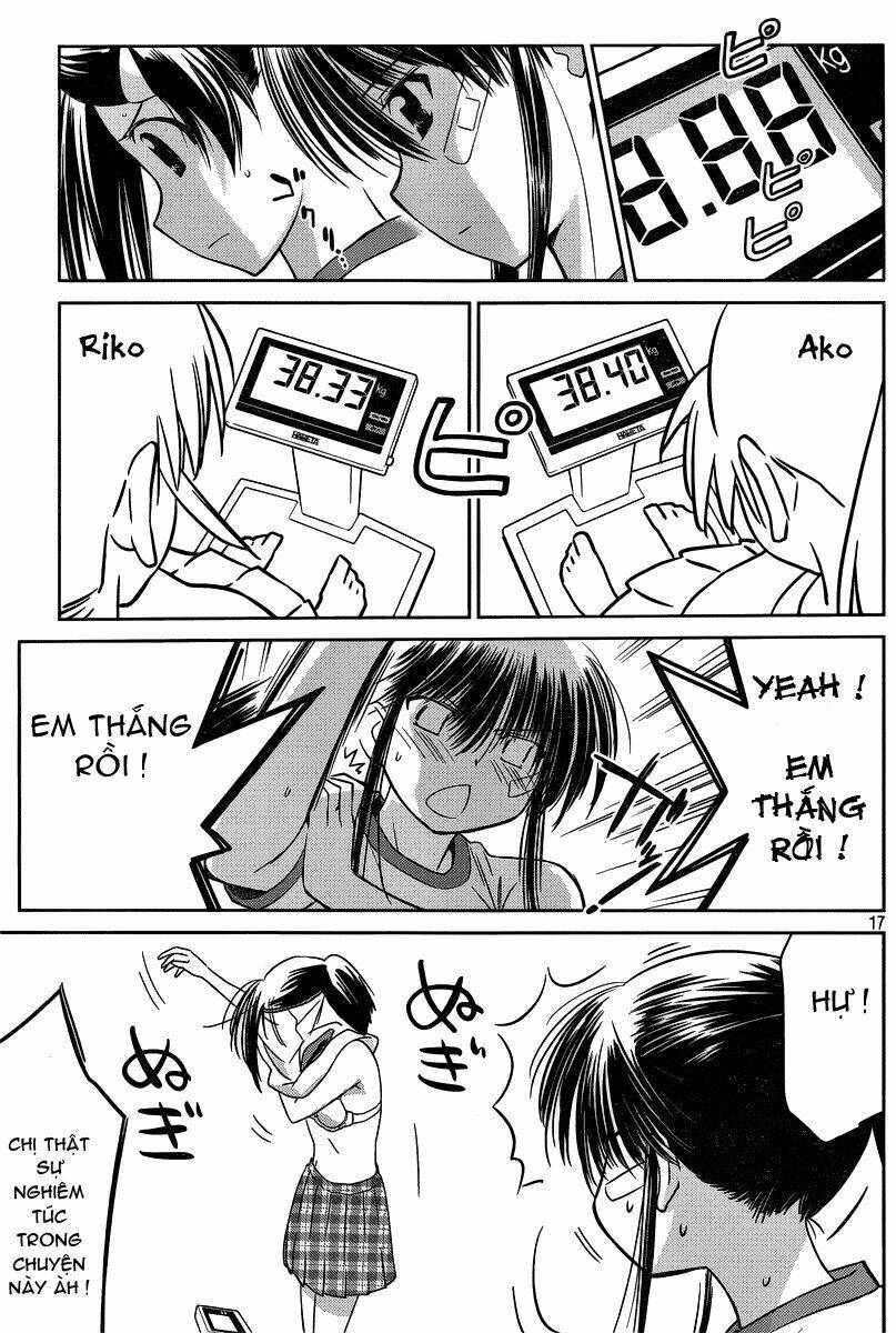 page_17.jpg