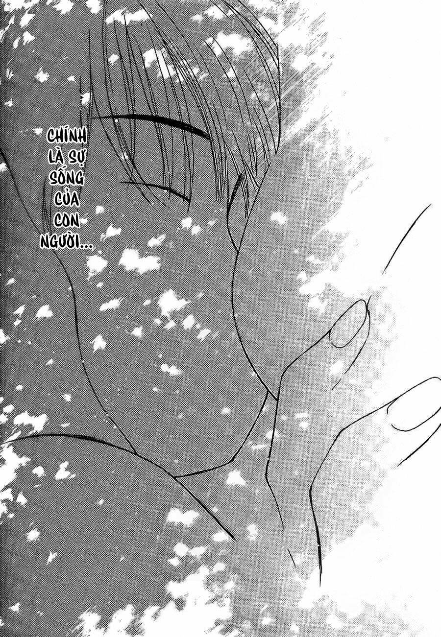 page_21.jpg