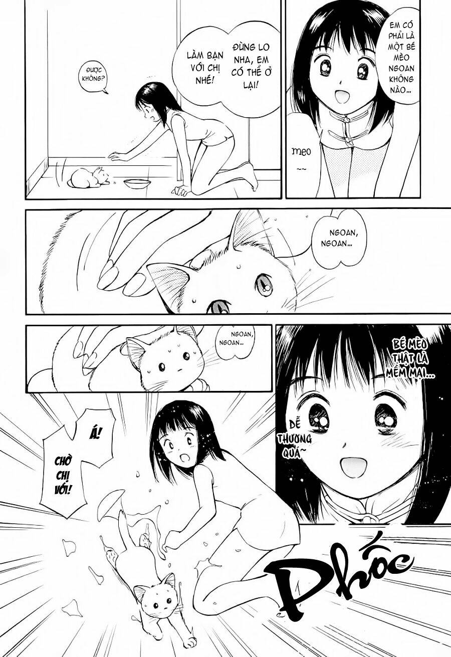 page_10.jpg