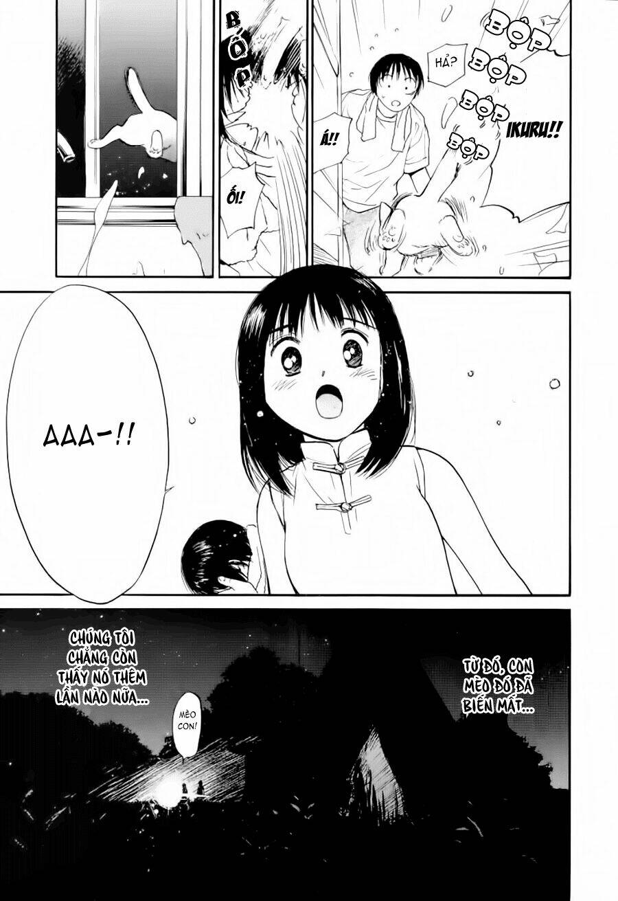 page_11.jpg