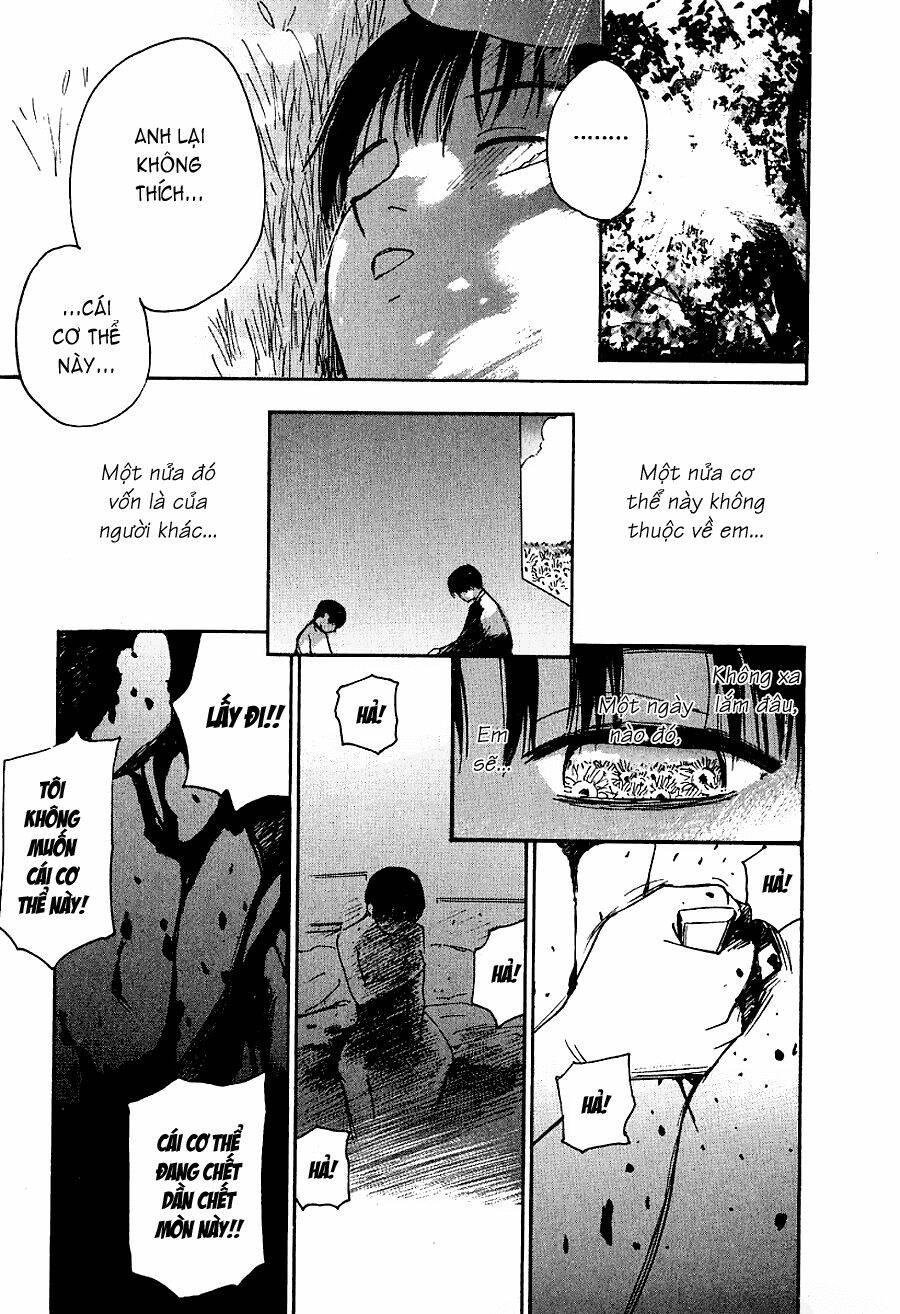 page_17.jpg