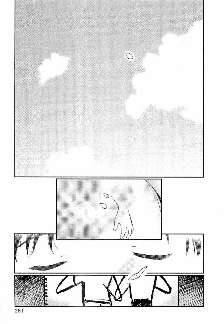 page_22.jpg