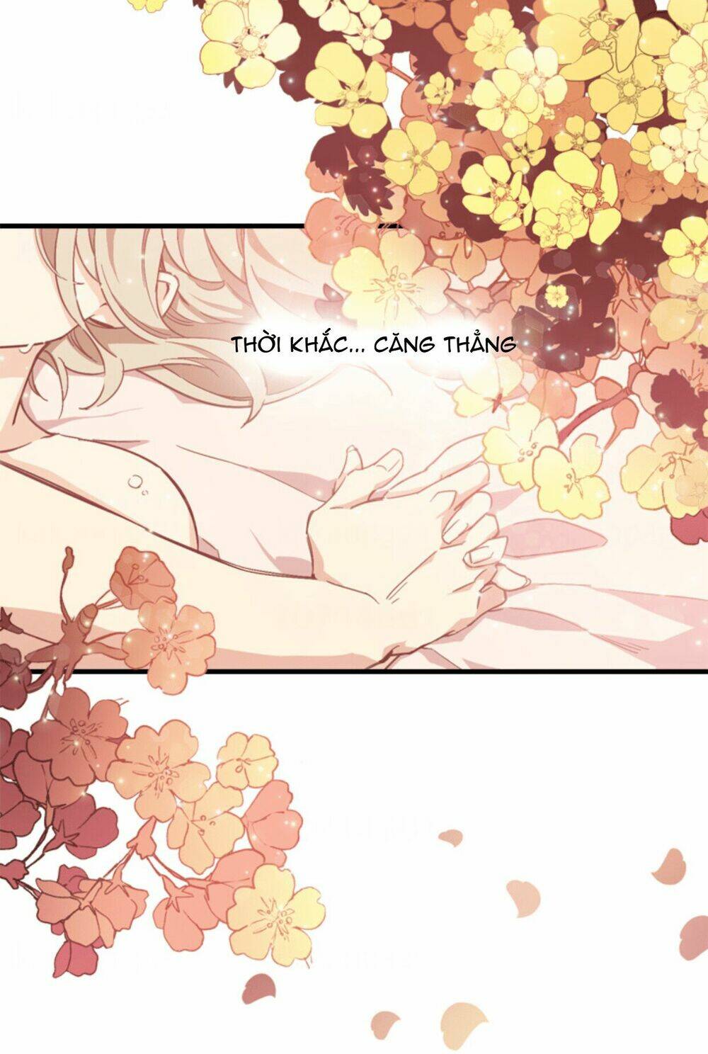 page_14.jpg