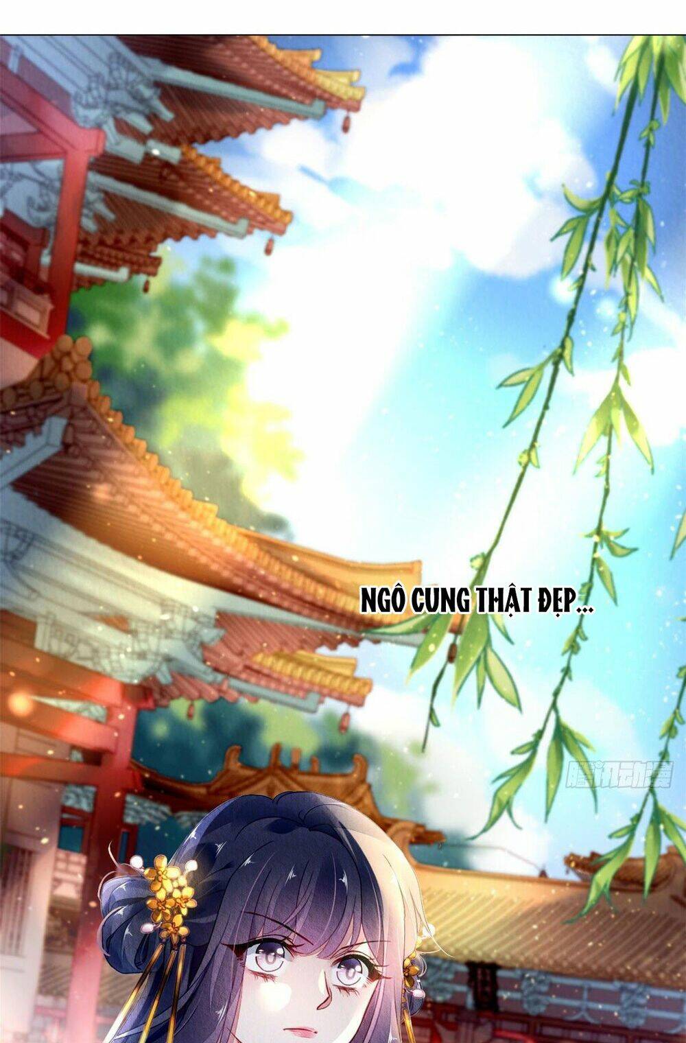 page_9.jpg