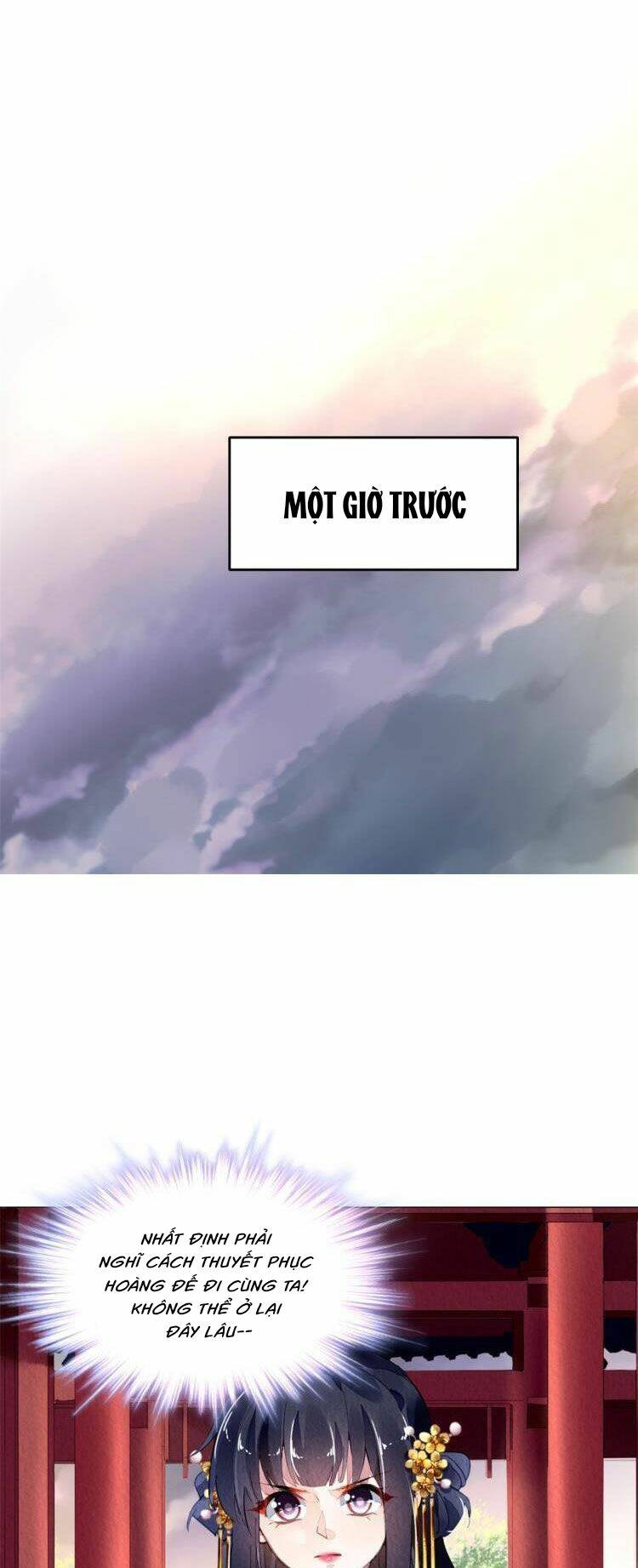 page_31.jpg