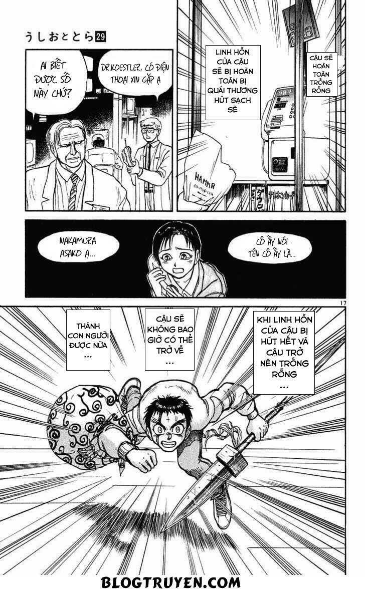 page_19.jpg