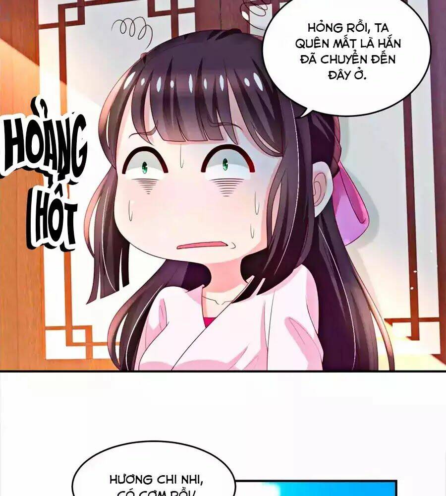 page_17.jpg