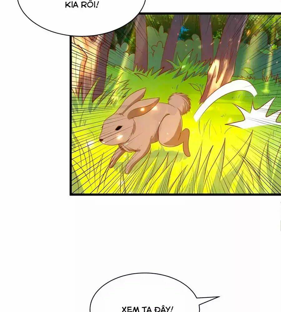page_37.jpg